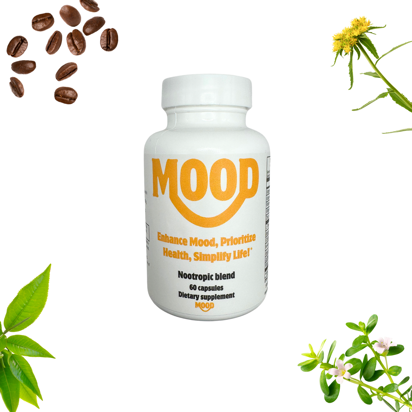 Nootropic Blend - Energy, Focus, & Less Stress