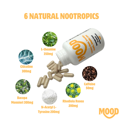 Nootropic Blend - Energy, Focus, & Less Stress